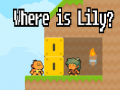 Mchezo Where is Lily?