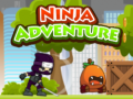 Mchezo Ninja Adventure