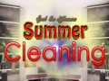 Mchezo Spot The differences Summer Cleaning