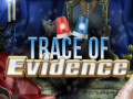 Mchezo Trace of Evidence