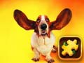 Mchezo Funny Dogs Puzzle