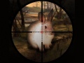Mchezo Classical Rabbit Sniper Hunting 2019