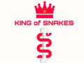 Mchezo King Of Snakes