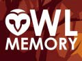 Mchezo Owl Memory