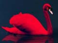 Mchezo Love Birds Puzzle