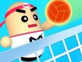 Mchezo Amazing Volleyball
