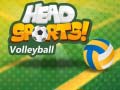 Mchezo Head Sports Volleyball