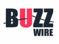 Mchezo Buzz Wire