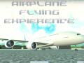 Mchezo Airplane Flying Expierence