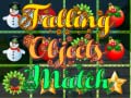 Mchezo Falling Objects Match 