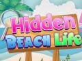 Mchezo Hidden Beach Life