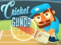 Mchezo Cricket Gunda