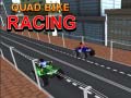 Mchezo Quad Bike Racing