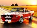 Mchezo Fancy Mustang Differences