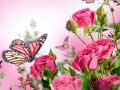 Mchezo Butterflies Puzzle