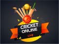Mchezo Cricket Online