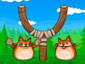 Mchezo Shot The Angry Cat
