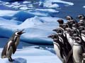 Mchezo Penguins Slide