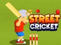 Mchezo Street Cricket
