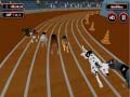 Mchezo Crazyl Dog Racing Fever