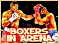 Mchezo Boxers in Arena