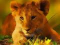 Mchezo Wild Baby Animals Jigsaw