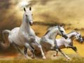 Mchezo Running Horse Slide