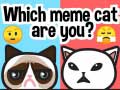 Mchezo Which Meme Cat Are You?