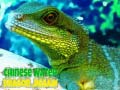Mchezo Chinese Water Dragon Jigsaw