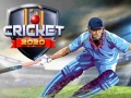 Mchezo Cricket 2020