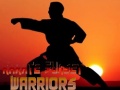 Mchezo Karate Sunset Warriors