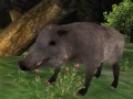 Mchezo Wild boar Hunting