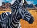 Mchezo Zebra Hunter