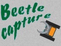 Mchezo Beetle Capture