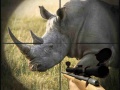 Mchezo Wild Rhino Hunter