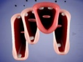 Mchezo Crazy Lips