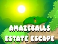 Mchezo Amazeballs Estate Escape