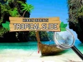 Mchezo Hidden Objects: Tropical Slide