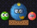 Mchezo Where Is My Ruffled Bird