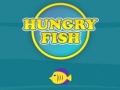 Mchezo Hungry Fish