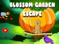 Mchezo Blossom Garden Escape