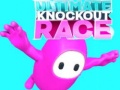 Mchezo Ultimate Knockout Race