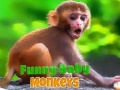 Mchezo Funny Baby Monkey