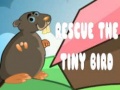 Mchezo Rescue The Tiny Bird