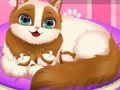 Mchezo Cute Kitty Pregnant