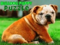 Mchezo Bulldog Puppy Puzzle