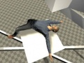Mchezo Ragdoll Test