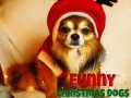 Mchezo Funny Christmas Dogs