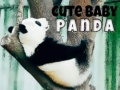 Mchezo Cute Baby Panda