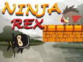Mchezo Ninja Rex